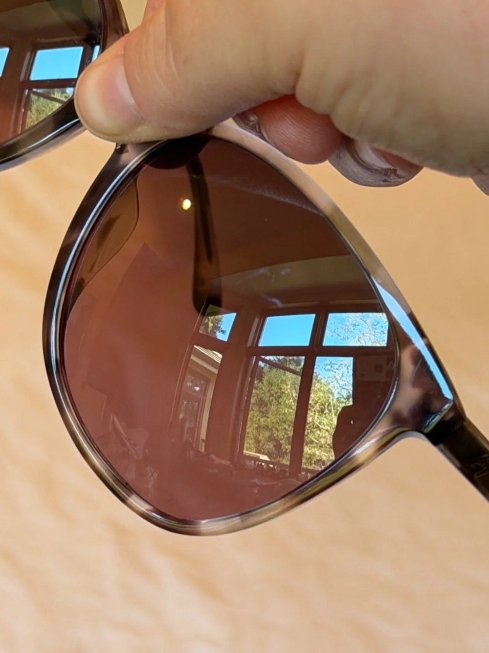 Maui Jim Isola Sunglasses Purple Havana